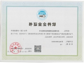 Software Enterprise Certificate